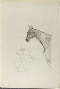 Horse and Collie