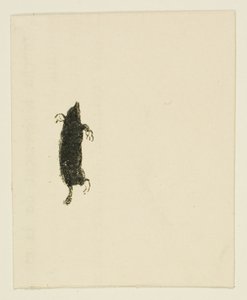 Tailpiece from Au Pied du Sinaï