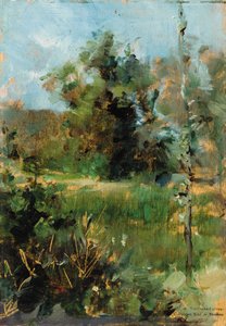 The Clearing