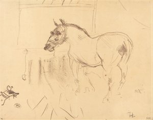 The Small Pony from Calmese