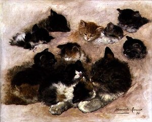Study of Cats and Kittens