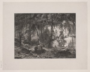 Forest Interior by Henrik Bornemann