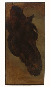 Horse Head