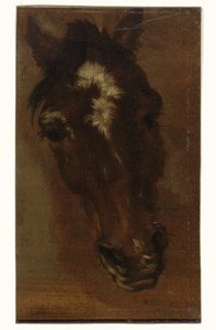 Horse Head by Henriëtte Ronner