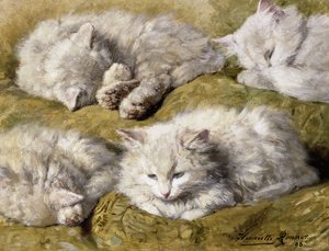 Studies of a Long-haired White Cat by Henriëtte Ronner Knip