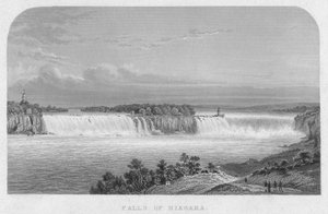 Falls of Niagara by Henry Adlard