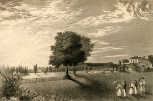 Sennicots by Henry Alexander Ogg