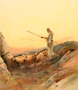 A shepherd counting his sheep