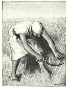 Reaping in the East by Henry Andrew Harper