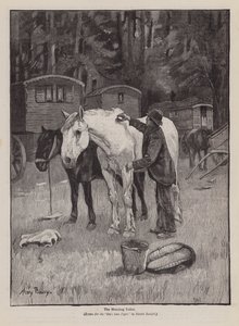 The Morning Toilet by Henry Bailey