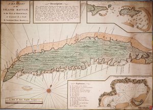 Draught of the Island Rattan in the Bay of Honduras in Latitude 16 Degrees 22