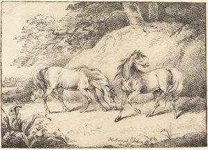 Wild Horses