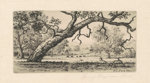 California Landscape
