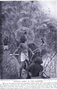 Killing Birds in the Marshes, c.1920 by Henry Charles Seppings Wright