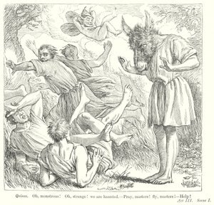 A Midsummer Night