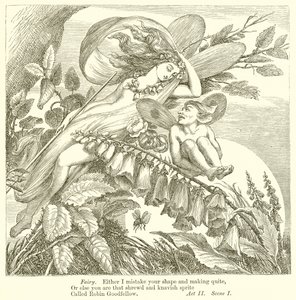 A Midsummer Night