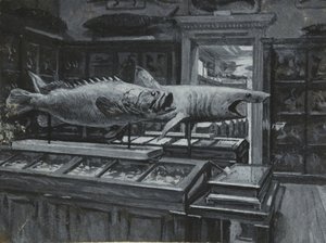 Interior view of the British Museum showing the gallery of fish exhibits, c.1880 by Henry Edward Tidmarsh