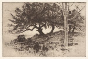Near the Sea