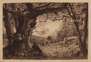 On The Hillside