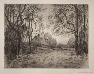 Winter Evening