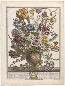 Twelve Months of Flowers: March by Henry Fletcher