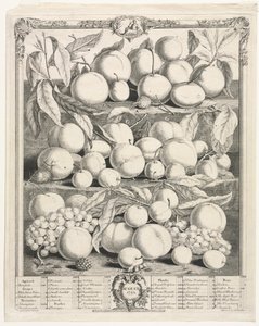 Twelve Months of Fruit: August by Henry Fletcher