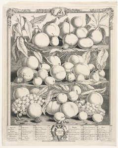 Twelve Months of Fruit: August by Henry Fletcher