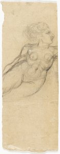 Studies of Nudes