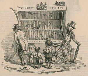 A Street Entertainer with an Aviary