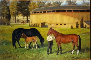 The Training Track on the Fairgrounds, 1887