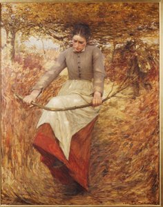 An Autumn Morning
