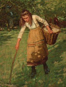 The Wool Gatherer