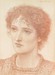 Study of a Young Woman