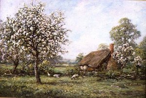 Cottage in the Spring