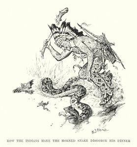 How the Indians Make the Horned Snake Disgorge His Dinner by Henry Justice Ford
