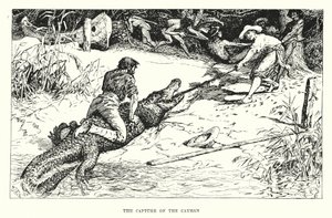 The Capture of the Cayman by Henry Justice Ford