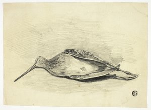 Dead Grouse by Henry Lejeune