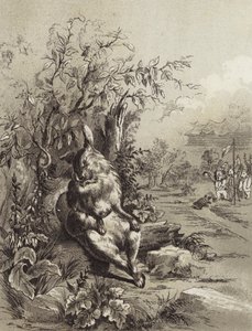 The Fables of Aesop: The Hare and the Tortoise by Henry Louis Stephens