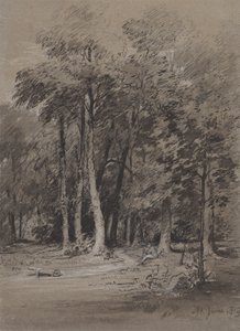 A Wooded Track by Henry Monro