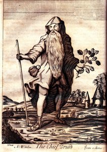 The Chief Druid from Mona Antiqua Restaurata by Henry Rowlands