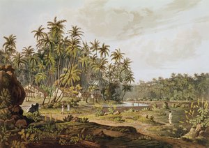 View Near Point du Galle, Ceylon, Engraved by Daniel Havell by Henry Salt