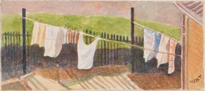 Rounton Road washing lines