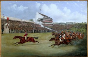 Horse racing: 