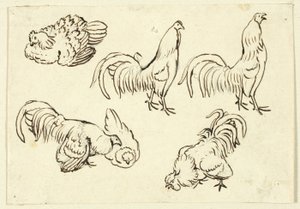 Sketches of Poultry by Henry Stacy Marks