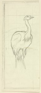 Standing Bird by Henry Stacy Marks
