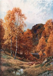 Golden Autumn, the Trossachs, Perthshire