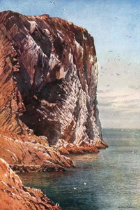 The Bass Rock, Firth of Forth, off Coast of Haddingtonshire by Henry Sutton Palmer