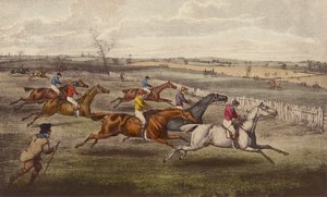 A Steeple-Chase