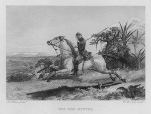 The Hog Hunter