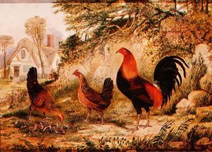 Cockerel, Hens and Chicks by Henry Thomas Alken